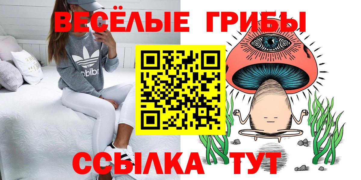 Галлюциногенные грибы мицелий Самара