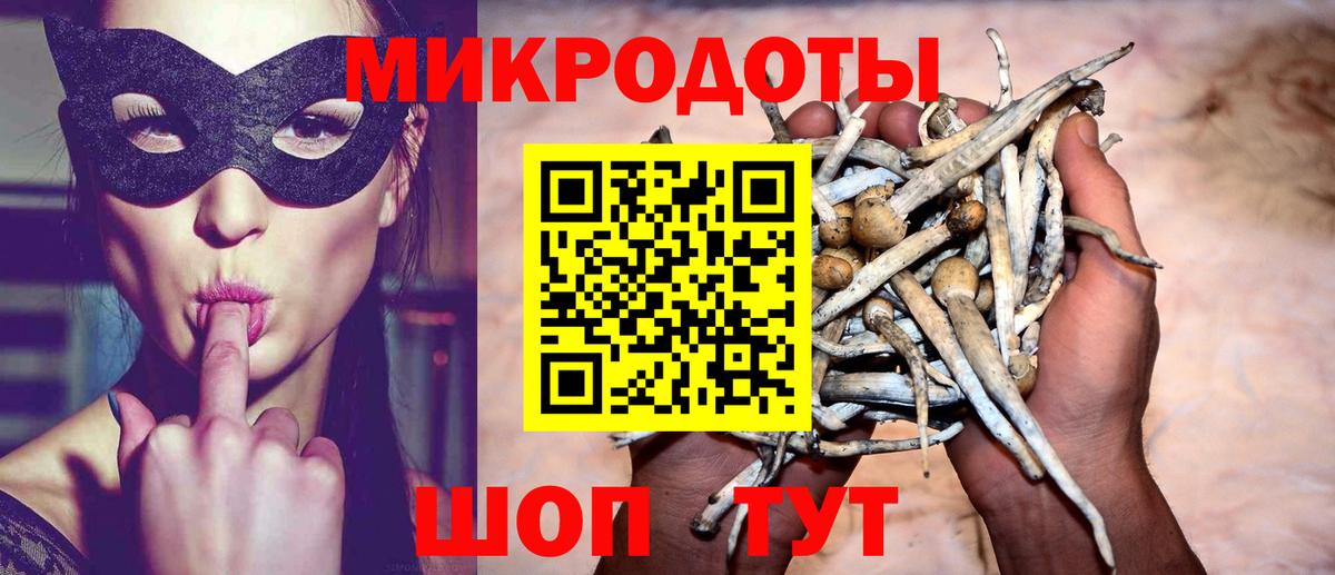 купить  цена  Псилоцибиновые грибы мухоморы  Вход с VPN  Самара 
